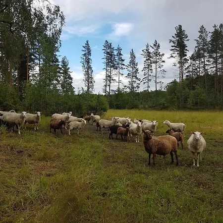 Hirvikallio - A Peaceful In The Middle Of Nature * Karjaa
